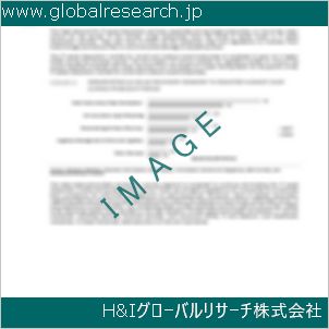 グローバルリサーチ調査資料のイメージ